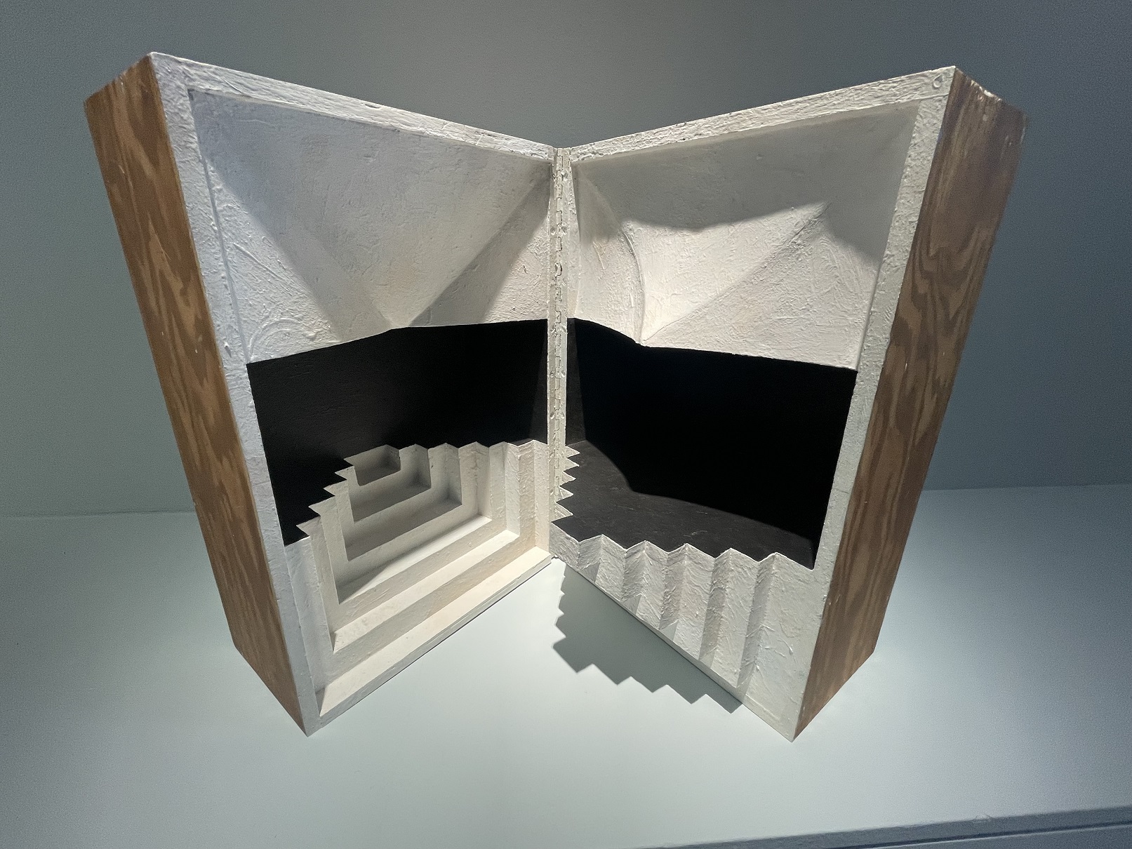 Lucas Samaras, Untitled