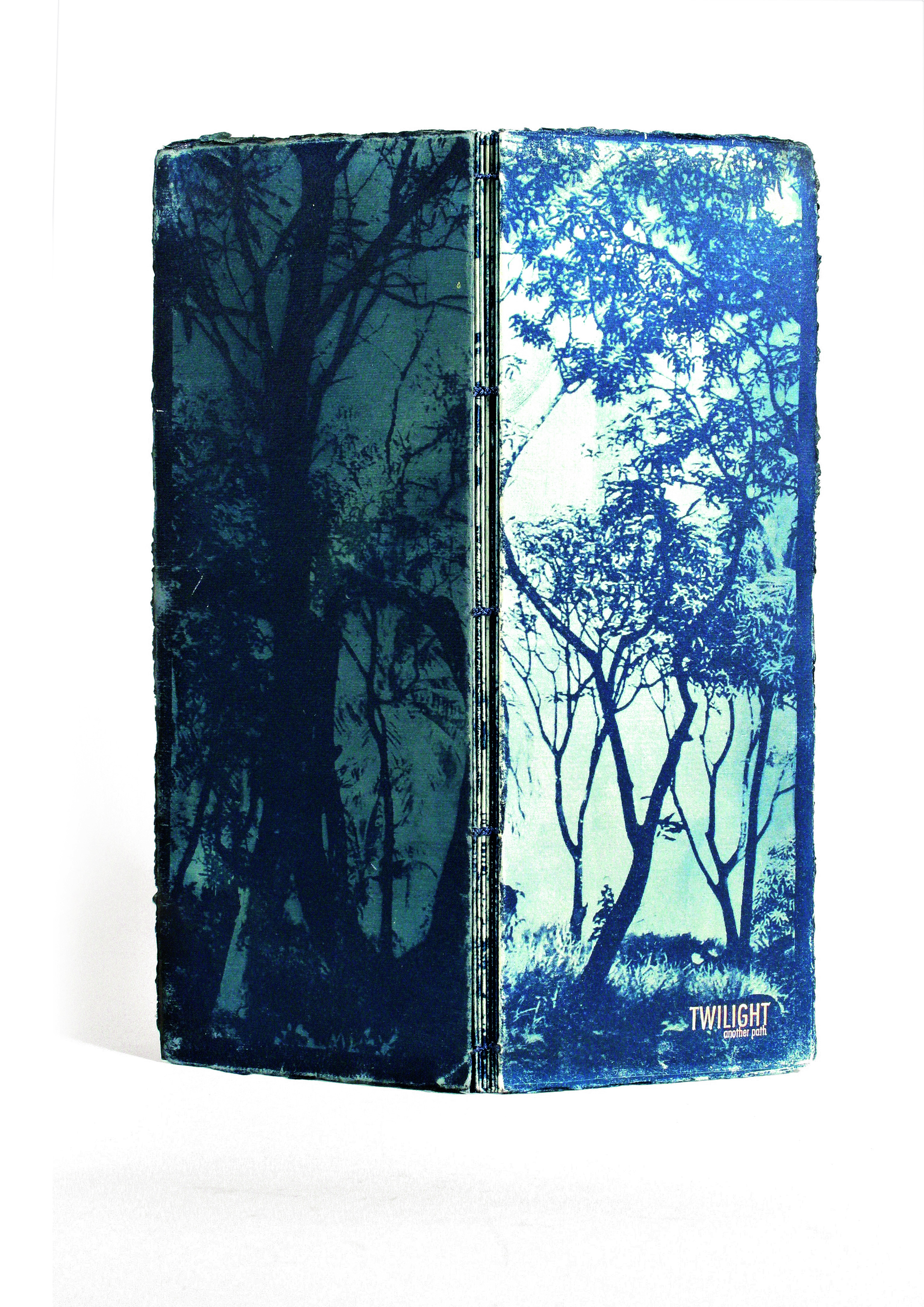 Cover and back cover of book with tall trees and branches in dark and light blue hues. Bookbinding piece