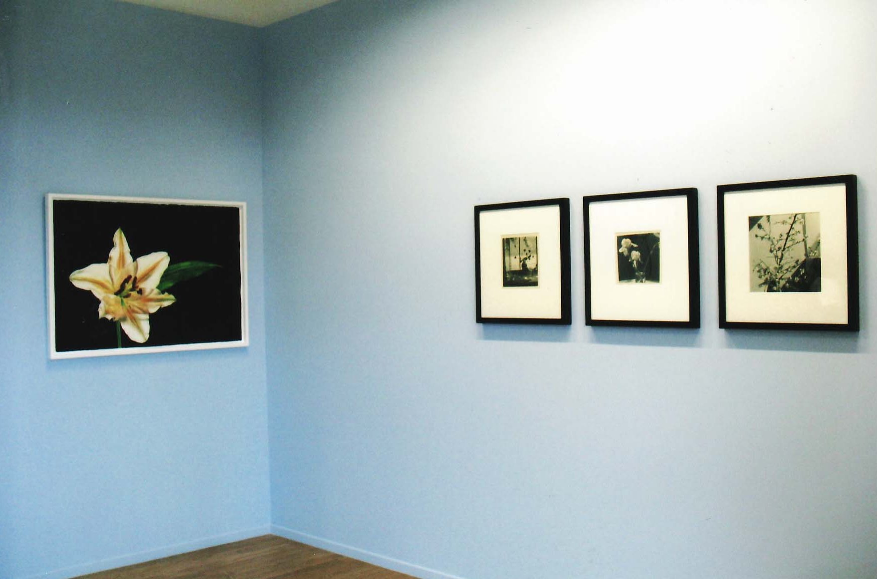 Art exhibits. Exhibits “Affinities: Flowers in Greek Art”