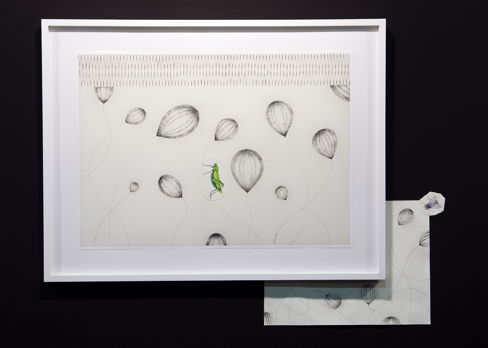 Print from the exhibition Digitals with a sketch on beige background and a green grasshopper in the middle.  Print from the exhibition “Digitals”