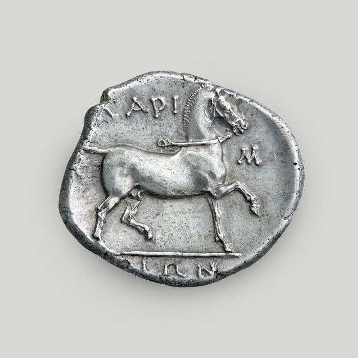 Οπίσθια όψη αργυρού δίδραχμου Λάρισας με ίππο που βαδίζει περήφανα και χαραγμένη τη λέξη ΛΑΡΙΣΑΙΩΝ.  Οπίσθια όψη αργυρού δίδραχμου Λάρισας