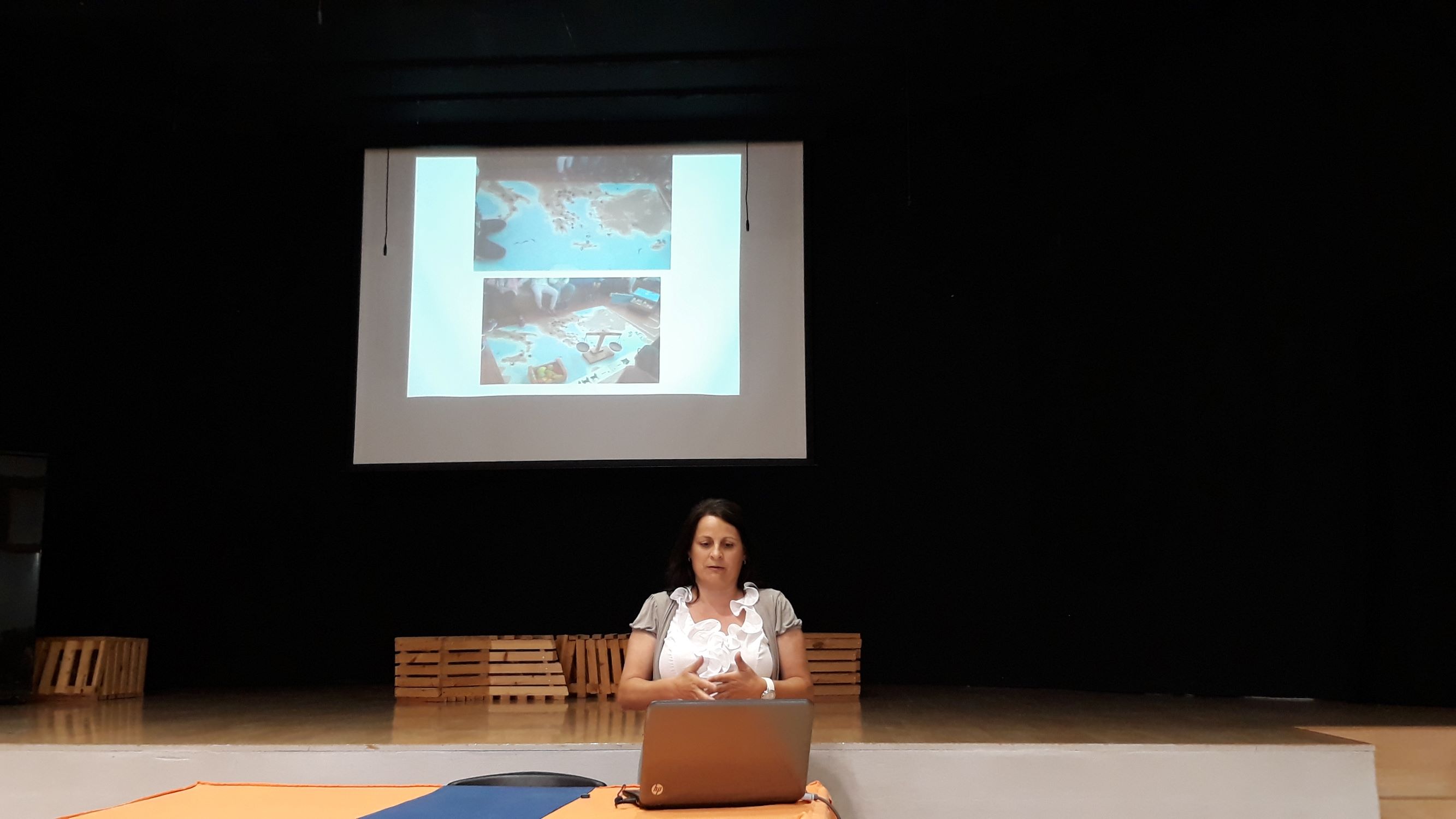 A speaker is seen in front of a computer with a video projection screen behind him.  Photo from meeting with teachers from schools on Rhodes