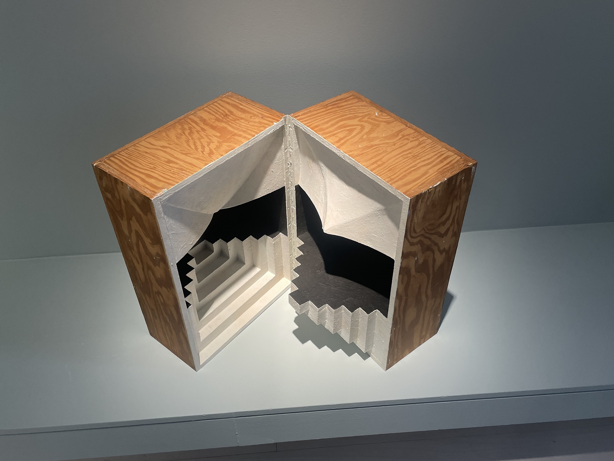 Lucas Samaras, Untitled