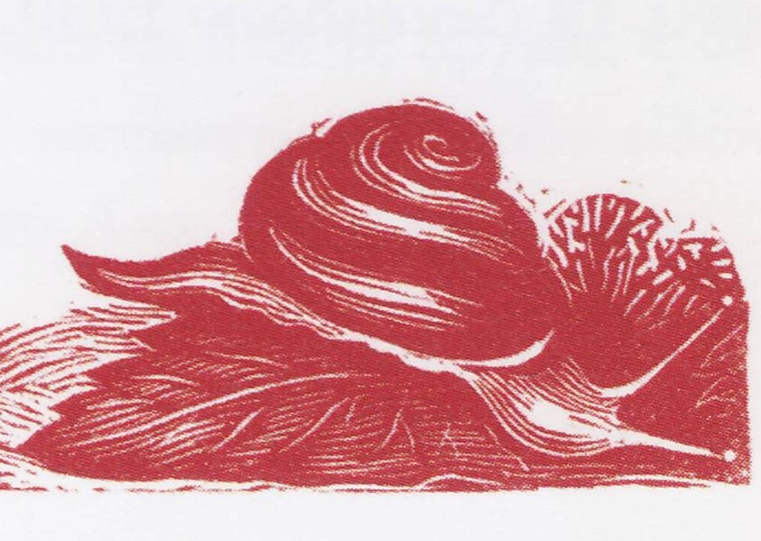 Decorative design of an inside page in red ink, showing a snail on a leaf. Decorative design of an inside page in red ink, showing a snail on a leaf.
